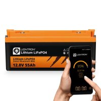 Batterie Liontron 55 Ah