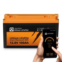 Batterie Liontron 100 Ah