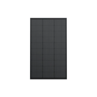 EcoFlow 2 x 100 W Solarpanel (starr)