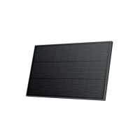 EcoFlow 2 x 100 W Solarpanel (starr)